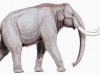 Bizony kontra mamuty
