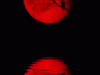 Czerwony Księżyc