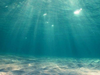 Pod wodą