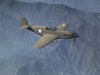 P-51A w kolorze