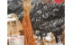 Oficjalna strona Parku Narodowego Bryce Canyon