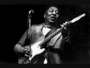 Muddy Waters - Champ...