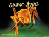 Guano Apes - Open Yo...