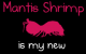 Why the mantis shrimp is my new favorite animal - komiks od Oatmeal ;)