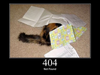 404 z kotkiem