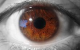 kolor oczu , obszerne opracowanie, wikipedia