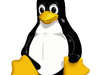The Linux Kernel Mig...