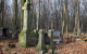 O cmentarzu na Wikipedii